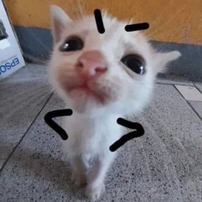 𝓀𝒶𝓎!'s profile picture