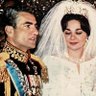 شیردُخت✨️🇮🇷's profile picture