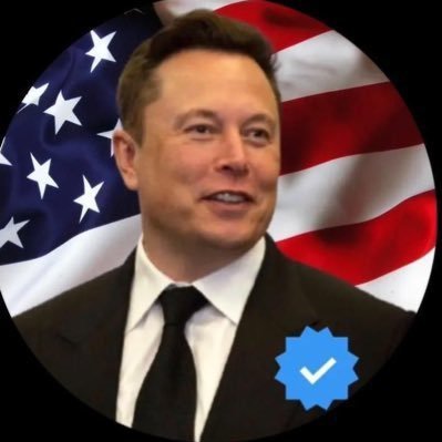 Parody Musk's profile picture