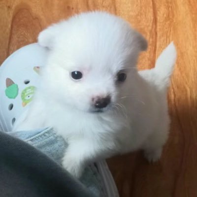 심's profile picture