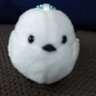 瀬織津's profile picture
