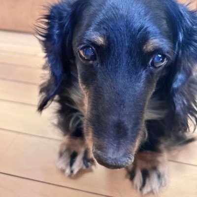 IIllIllIIIllII's profile picture