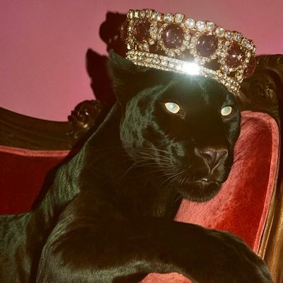 Alya Seven's profile picture