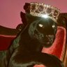 Profilbild von Alya Seven