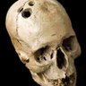 trepanologist 的头像