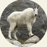 Profilbild von CITO