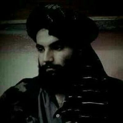 Javid Ashna's profile picture