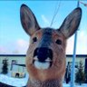 Shaun's profile picture