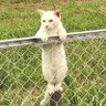 れお 的头像