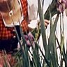 crystallake profil fotoğrafı