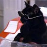 Salem The Cat 的头像