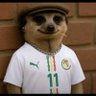 koundeugue's profile picture