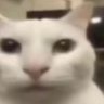 Kyle profil fotoğrafı