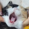 리우_ profil fotoğrafı