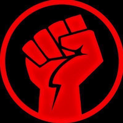 Wild Videos's profile picture