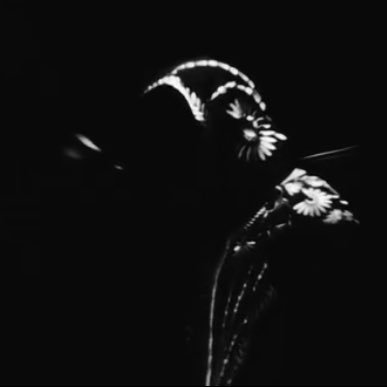 detosbd's profile picture