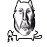 Profilbild von sacola