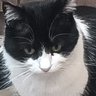 doesitevenmatter?'s profile picture