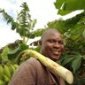 Rashid kyaterekera🇺🇬 的头像