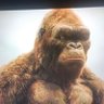 Uwe B's profile picture