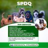 Profilbild von ℑ𝔙𝔛𝔛🪴𝔇𝔬𝔤 𝔣𝔞𝔡𝔞 🐾 SPDQ