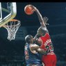 bball theory's profile picture