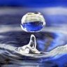 Wasser 的头像