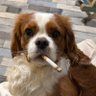 Profilbild von 🚬DP10 (ExDim) ⚪️Ⓜ️