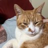 goldenburrito67 profil fotoğrafı