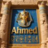 Profilbild von ahmed mansour