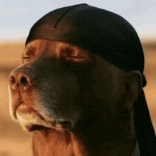 Wav3Png's profile picture
