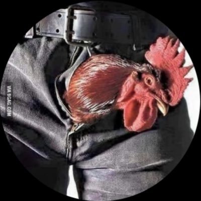 Big Ole Cock's profile picture