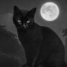ٰ's profile picture