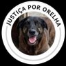 Fries's profile picture