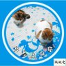 ひかずやしんいち profil fotoğrafı