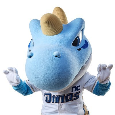 ncducks's profile picture