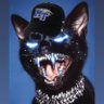 MT TRAP CAT💎⚡️'s profile picture