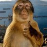 BiggusDickus Blackfyre profil fotoğrafı