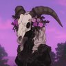 ciel.ravencourt 「シエル」 的头像