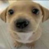 Profilbild von Mr. nut