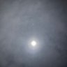 Mj Miller (1humanBeingHuman)'s profile picture
