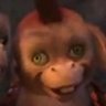 Profilbild von kokiii
