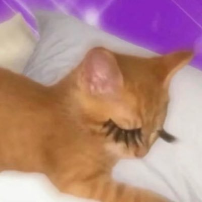 hmp00114's profile picture