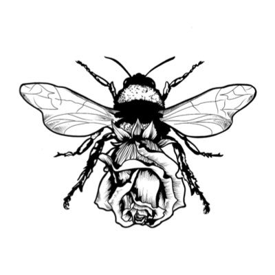 RosellasBand's profile picture