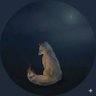 尾灯(びとう)🦊's profile picture