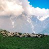 M.A. Appasid profil fotoğrafı