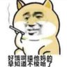C: 的头像