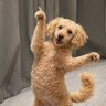 Karen profil fotoğrafı