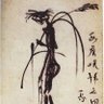 ss 的头像