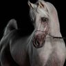 مجرد إنسان profil fotoğrafı